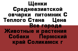 Щенки Среднеазиатской овчарки (питомник С Теплого Стана) › Цена ­ 20 000 - Все города Животные и растения » Собаки   . Пермский край,Соликамск г.